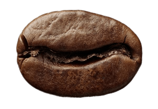 A photo of a coffee bean.
